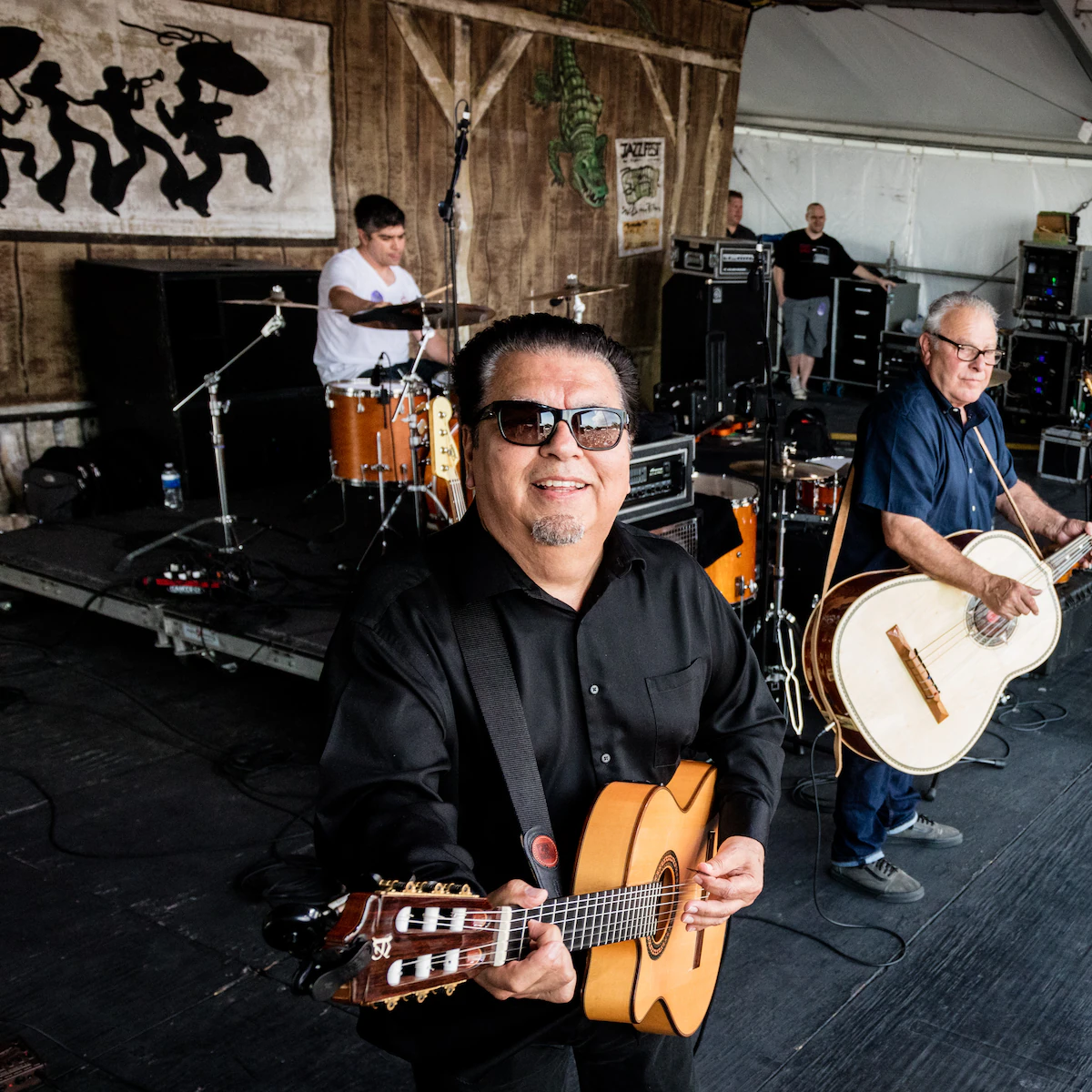 Audience at a Los Lobos concert