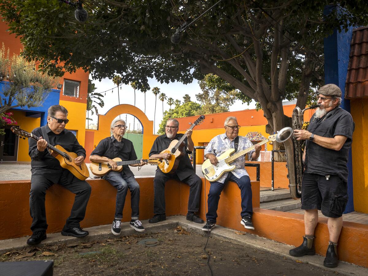 Los Lobos live on tour
